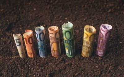 Publicados los Presupuestos Generales del Estado de 2021